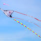 Community Kite Festival