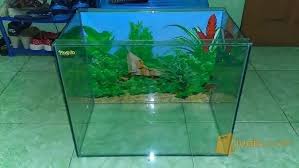 Harga kaca per meter 5mm termurah harga paling murah laminate floors and cermin kaca bening termurah harga paling murah also the linoleum floor covering. Aquarium Kaca Size 50x30x35 Polos Kaca 5mm Jakarta Utara Jualo