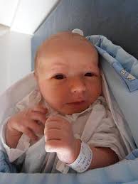 Fotogalerie: Nově narozená miminka