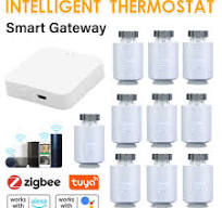 Tuya ZigBee Smart Thermostat TRV Radiator-Valve Programmable for  AlexaGoogleHome