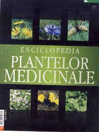 Cartierul militari parcelare de case sector 6 cartierul roșu i.n.c.a.s. Strada Floare Rosie Nr 7a StradÄƒ Blog