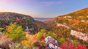 Koomer made many mistakes, but i do not blame him. The Top 5 Best Campgrounds In Kentucky