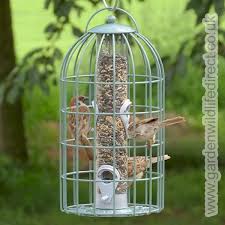 Caged Bird Feeders For Small Birds Uk The Nuttery Feedsafe Squirrel Proof Seed Feeder Ocean Green Jardines