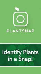 Plant identification apps are useful tools for gardeners and not only. Plantsnap Identify Plants Flowers Trees More Fur Android Kostenloser Download
