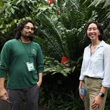 Image result for Eccoptocarpha