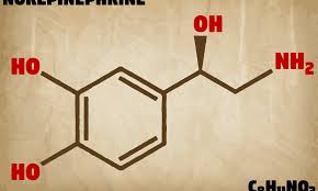 Image result for Norepinephrine