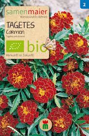 They are among several groups of plants known in english as marigolds. Bio Tagetes Carmen Tagetes Patula Nana Angelwurmer Garten Kompostwurmer Futterwurmer Superwurm