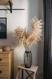 Feine Helle Schilf Halme Mit Fluffigen Kopfen Plumes Und Hohe Stiele Fur Inneneinrichtung Und Deko Getrocknetes Pampas Gras Fur Floral Decor Home Decor Decor