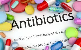 Image result for antibiotics