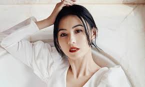 Hong Kong filmmaker Stephen Chow allegedly includes actress Cecilia Cheung  in his will