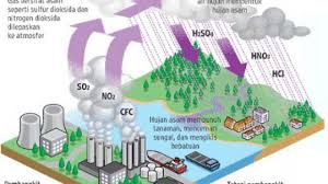 Proses terjadinya hujan dimulai dari sinar matahari yang panas menyebabkan adanya proses evaporasi. Proses Terjadinya Hujan Asam Dampak Dan Pencegahan Dosenbiologi Com