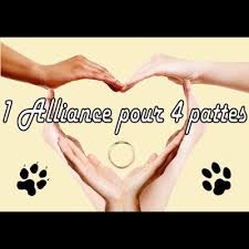 Au plaisir de se rencontrer, l'équipe de 4pattes1coeur19. 1 Alliance Pour 4 Pattes 1 Pattes Twitter