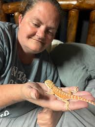 Watering dish = 9 1/4 length X 1 1/4 deep Feeding dishes = 2 1/2 square X 1  3/4 deep