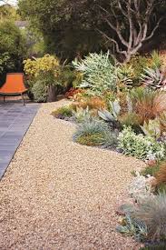 Pin On Garden Desert Yard N