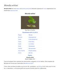 Image result for Mondia ecornuta