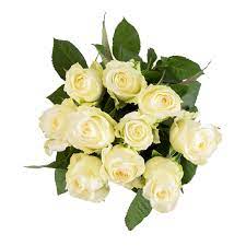 Woolworths online shopping woolworths woolworths.co.za. Buy Fresh Cut Roses Online Woolworths Co Za