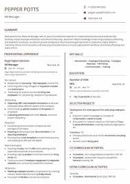 resume header 2020 guide to contact