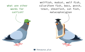 We did not find results for: 14 Catfish Synonyms Similar Words For Catfish