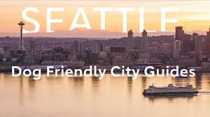 This is a 13% increase compared to the previous year. The Most Dog Friendly Stores In America Updated For 2020