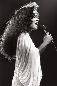 Now it's time for you to try out this tutorial for the holidays! Diana Ross Hair Through The Decades Essence