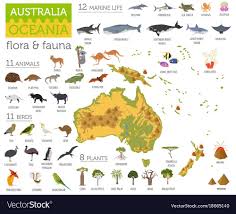 Australia And Oceania Flora And Fauna Map Flat Elements Animals Birds And Sea Life Big Set Build Your Geography Infogr Fauna World Map Continents Australia
