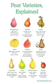 Pear Varieties Explained Starkrimson Bartlett Anjou