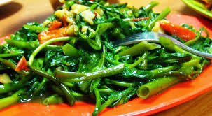Tanaman kangkung ini memang banyak di jumpai di kawasan asia, berasal dari daerah india, dan menyebar ke berbagai negara asia seperti myanmar, cina, afrika, australia dan tentunya indonesia. Budidaya Kangkung Darat Usaha Tepat Di Lahan Terbatas Okezone Economy