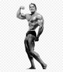 Arnold schwarzenegger is without one the biggest names in bodybuilding, he is an idol to hundreds of thousands of young bodybuilders. Arnold Schwarzenegger Bodybuilding Transparent Arnold Schwarzenegger Png Arnold Schwarzenegger Transparent Free Transparent Png Images Pngaaa Com