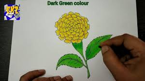 Enhance your art skills as you learn to draw a marigold. Easy Kids Zone How To Draw Marigold Flower Marigold Flower Drawing Easy Facebook