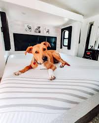 The campervan bunk bed is one of the most exciting children's bed on the market, featuring two secure sleeping spaces crafted into a detailed campervan structure with a fun aesthetic. Rv Mattress What You Need To Know Before Replacing Your Rv Mattress