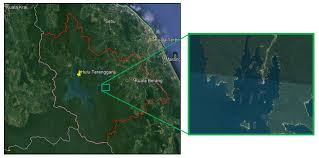 Some of these examples may show the adjective use. Sustainability Free Full Text Life Cycle Assessment Of Nile Tilapia Oreochromis Niloticus Farming In Kenyir Lake Terengganu Html