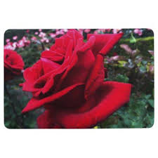Rose Garden Floor Mat Rose Style Gifts Diy Customize Special Roses Flowers Single Red Rose Paper Roses Red Roses