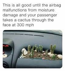 Yes, you can bring plants on an airplane, according to the transportation security administration (tsa) in the u.s. Flying Cacti Brandnewsentence