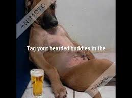 Download all photos and use them even for commercial projects. Funny 243772607 1080x1080 F30 Youtube