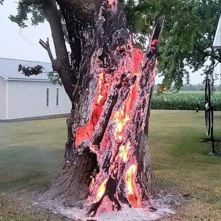 Lightning can do some crazy things': Tree burns from inside after lightning strike in Ohio