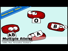 Genetics is the study of heredity and variation in organisms. Multiple Alleles Abo Blood Types And Punnett Squares Youtube