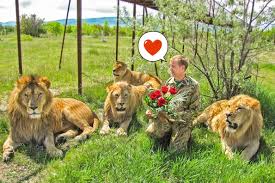 Тайган парк львов открытие сезона сафари со львами олег зубков розыгрыш. Pochemu Zakryli Park Lvov Tajgan V Krymu Kto Vinovat I Chto Delat Feo Yandeks Dzen