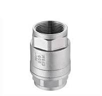 Thread Spring Loaded Vertical Lift Type Stainless Steel Inline Non-Return  Check Valve