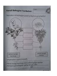 Kenali tumbuhan add to my workbooks (18) download file pdf add to google classroom. Tumbuhan