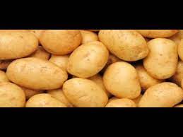 toptan patates fiyatlari 2021 youtube