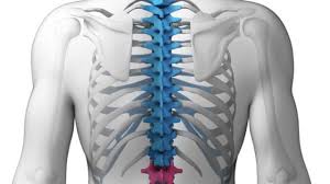 Some folks don't mind making individual ajax requests. Everything You Should Know About Spinal Compression Fractures Colorado Pain Care