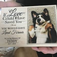 Pet Memorial Gift For Pet Loss In Memory Of Dog Dog Memorial Gift Loss Of Dog Dog Loss Gift Pet Memorial In 2020 Pet Memorial Gifts Dog Loss Gifts Pet Memorials