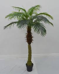 1 hektar (ha) kebun sawit di lahan mineral standarnya ditanami 136 pokok sawit. High Quality Artificial Plants Of Palm Tree F03301478 Wholesale Artificial Crafts On Topchinasupplier Com