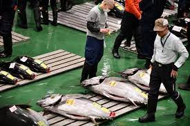 8 Resep Olahan Ikan Tuna Enak Dan Bergizi Mudah Dipraktikkan Di Rumah Merdeka Com