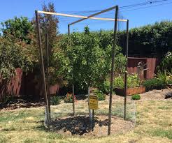 Check out our diy blueberry selection for the very best in unique or custom, handmade pieces from our shops. Fruit Tree Cage 8 Steps With Pictures Instructables