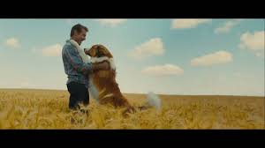 Trailer A Dog S Journey 2019 2m49s Cinemagia Ro
