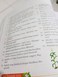 We did not find results for: Tuliskan Urutan Takson Dlm Klasifikasi Tumbuhan Dan Hewan Brainly Co Id