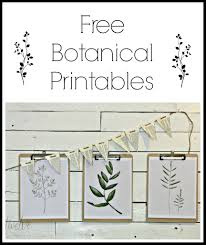 Printable Free Black And White Botanical Prints Free Watercolor Botanical Printables Free Printable Friday Botanical Printables Free Printable Art Botanical Prints Free
