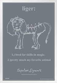 It' til pretty much my favorite animal it' s hie a lion and a tiger mixed. Amazon Com Napoleon Dynamite Movie Liger Bred For Skills In Magic Pretty Much My Favorite Animal Funny College Deb Pedro White Wood Framed Poster 14x20 Posters Prints