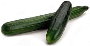 Image result for Cucumis sacleuxii